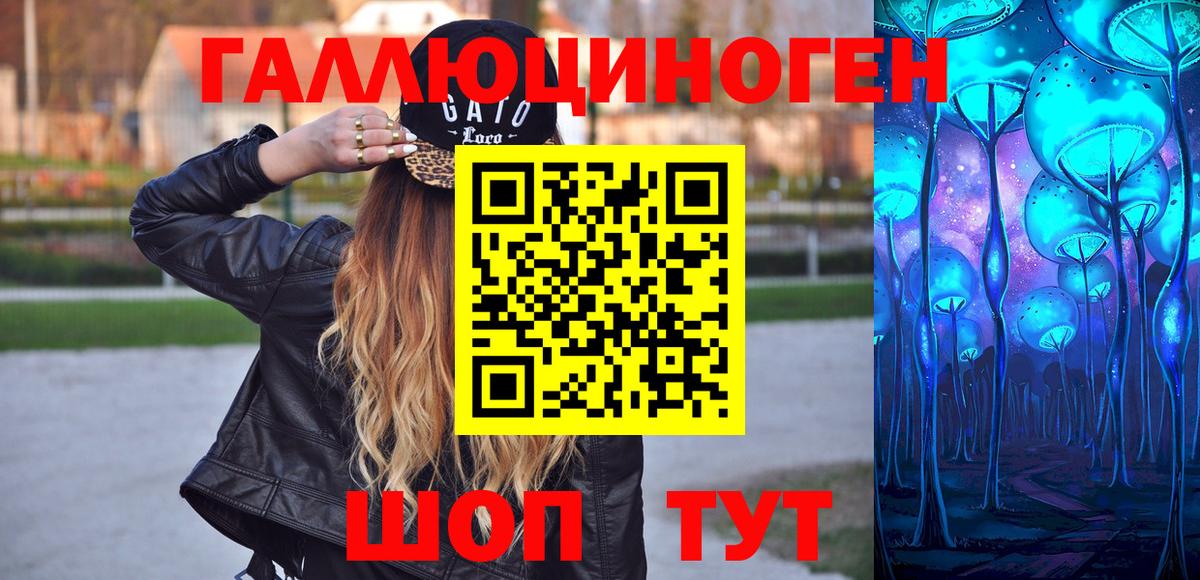 Галлюциногенные грибы Psilocybine cubensis Великий Новгород
