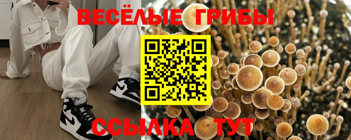 Псилоцибиновые грибы ЛСД  Галлюциногенные грибы мухоморы  Вход с VPN  Великий Новгород 