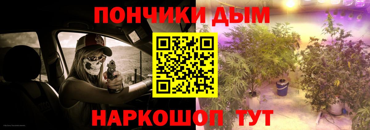 Шишки марихуана Amnesia Великий Новгород